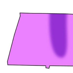 Meet your Posher, Gina